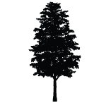 Tree Icon Footer