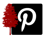 Pinterest-Button-10