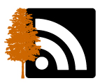 RSS-Feed-Button